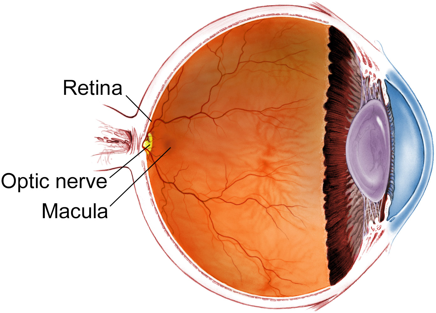 Lasik  Surgery  In Navrangpura